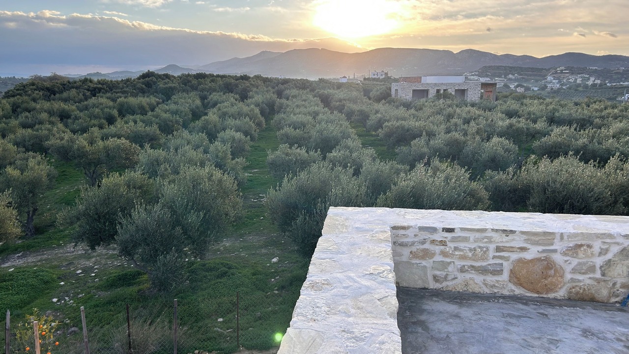 Photo of Outdoor in Pitsidia