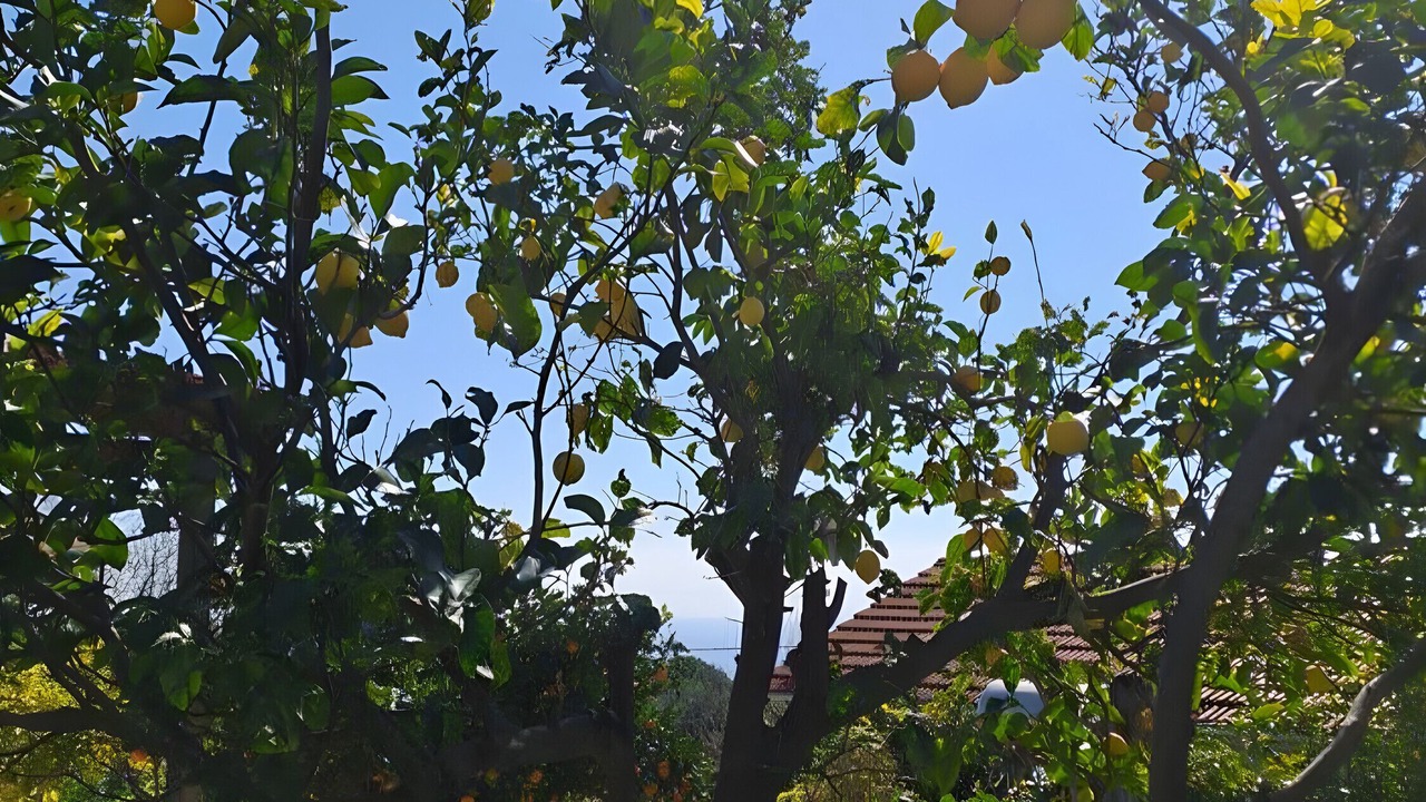 Photo of Outdoor in Ratzakli