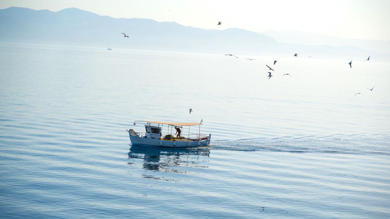 Photo of Others in Gaios