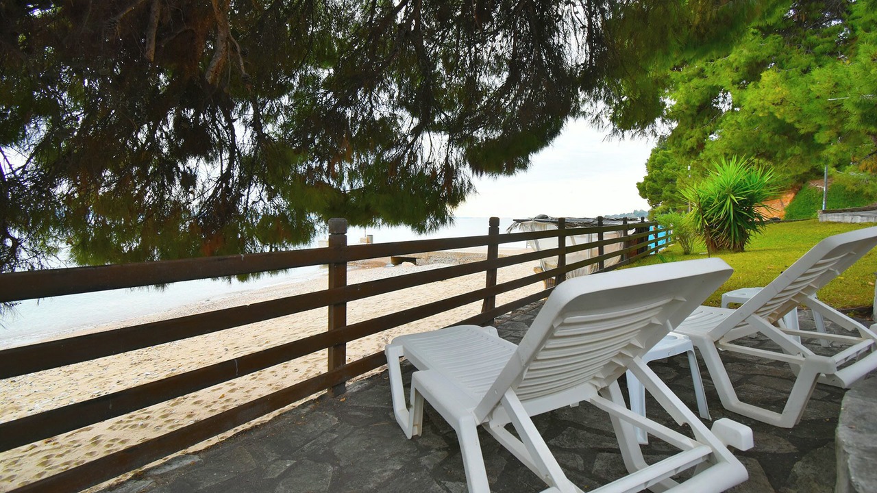 Photo of Others in Metamorfosi