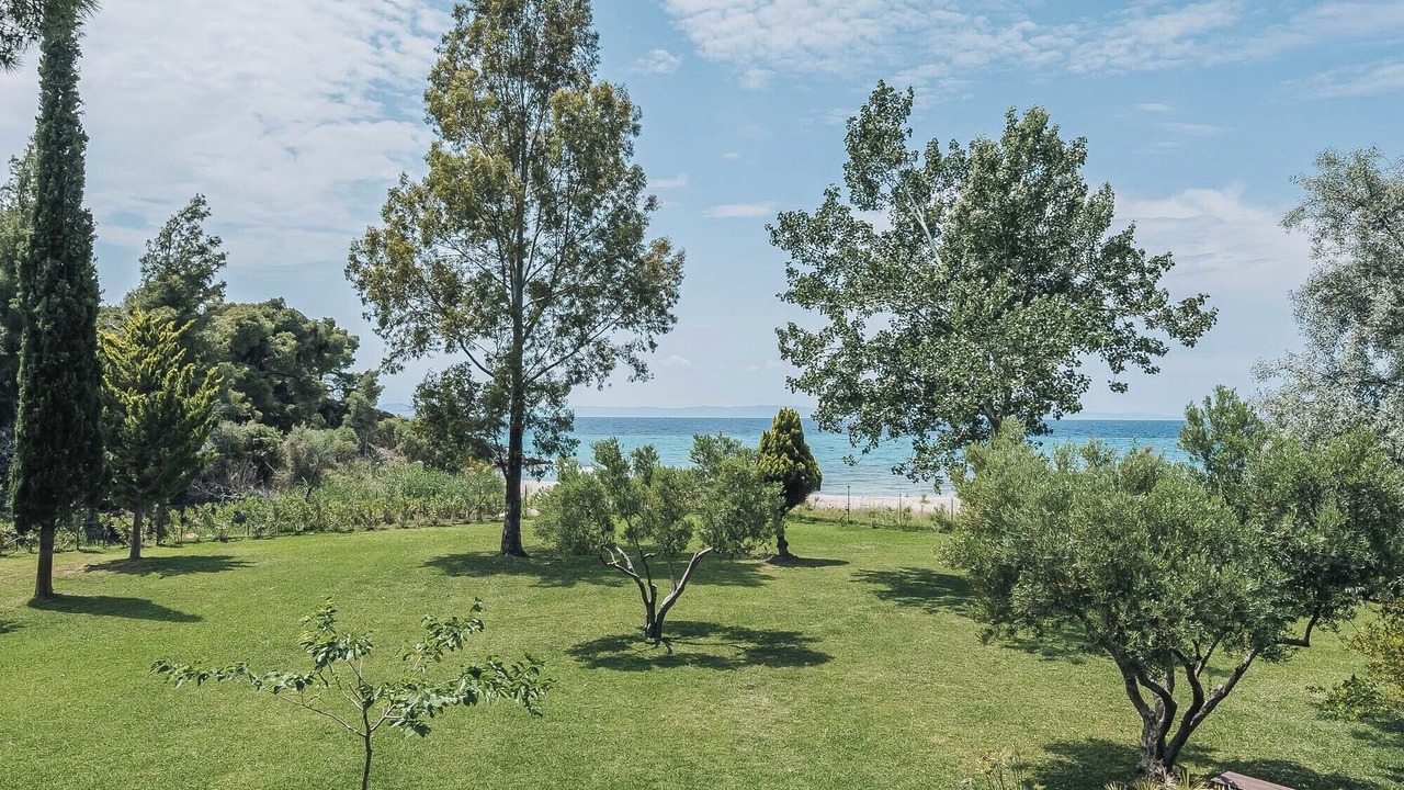 Photo of Others in Elia