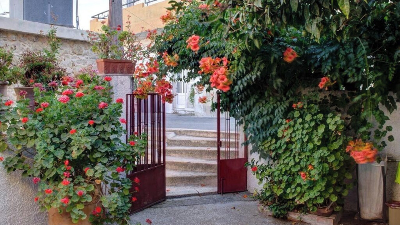 Photo of Outdoor in Vlachiana