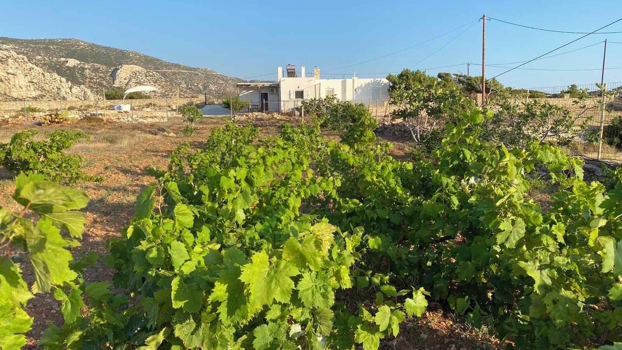 Photo of Outdoor in Lefkos