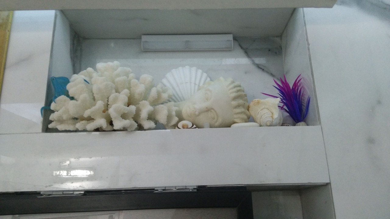 Photo of Others in Megalos Prinos