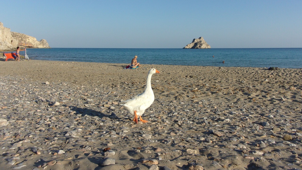 Photo of Others in Sitia