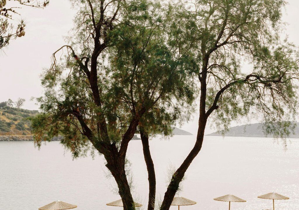 Photo of Others in Agios Nikolaos