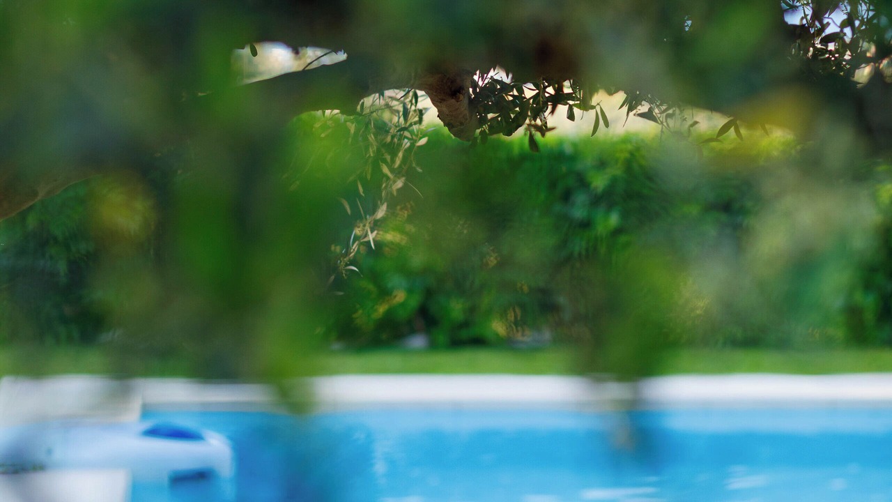 Photo of Outdoor in Platanes