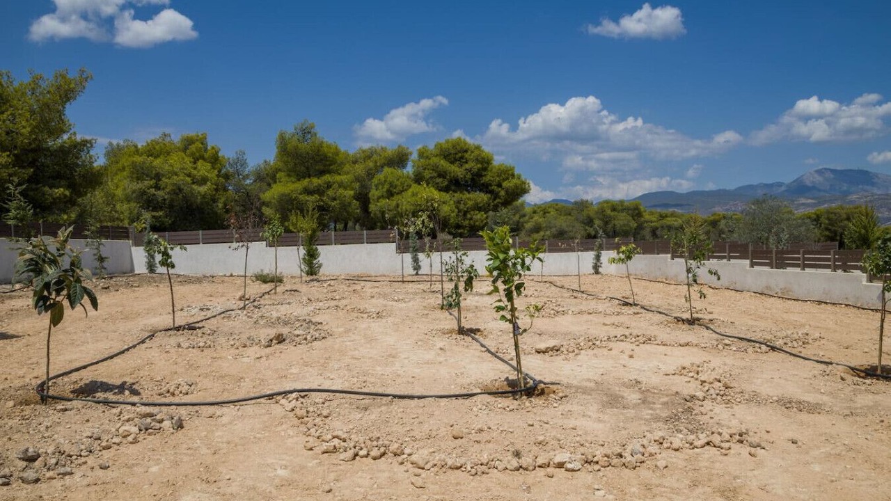 Photo of Outdoor in Isthmia