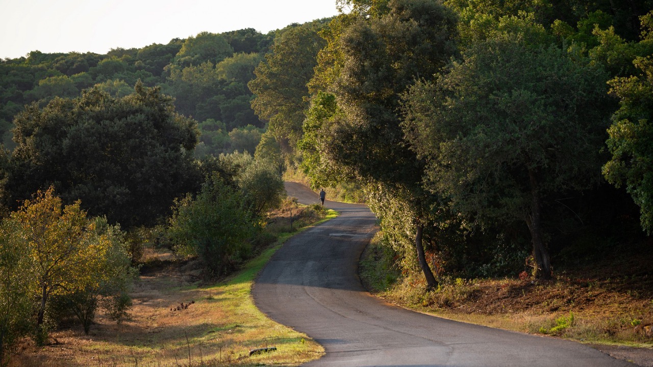 Photo of Others in Agios Stefanos