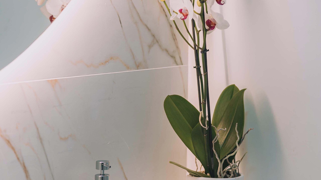 Photo of Bathroom in Voula