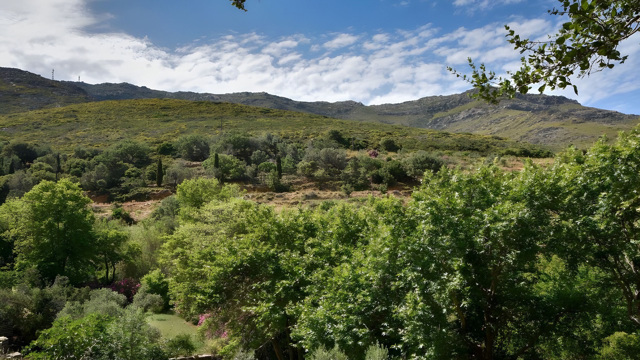 Photo of Others in Andros