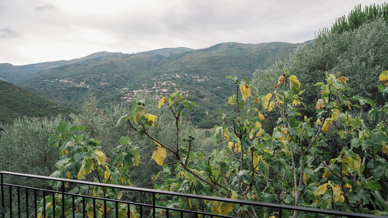 Photo of Outdoor in Artemisia