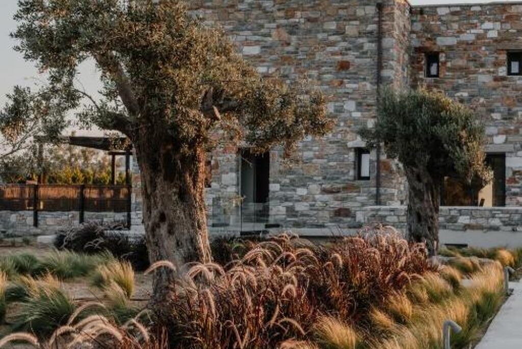 Photo of Outdoor in Plaka