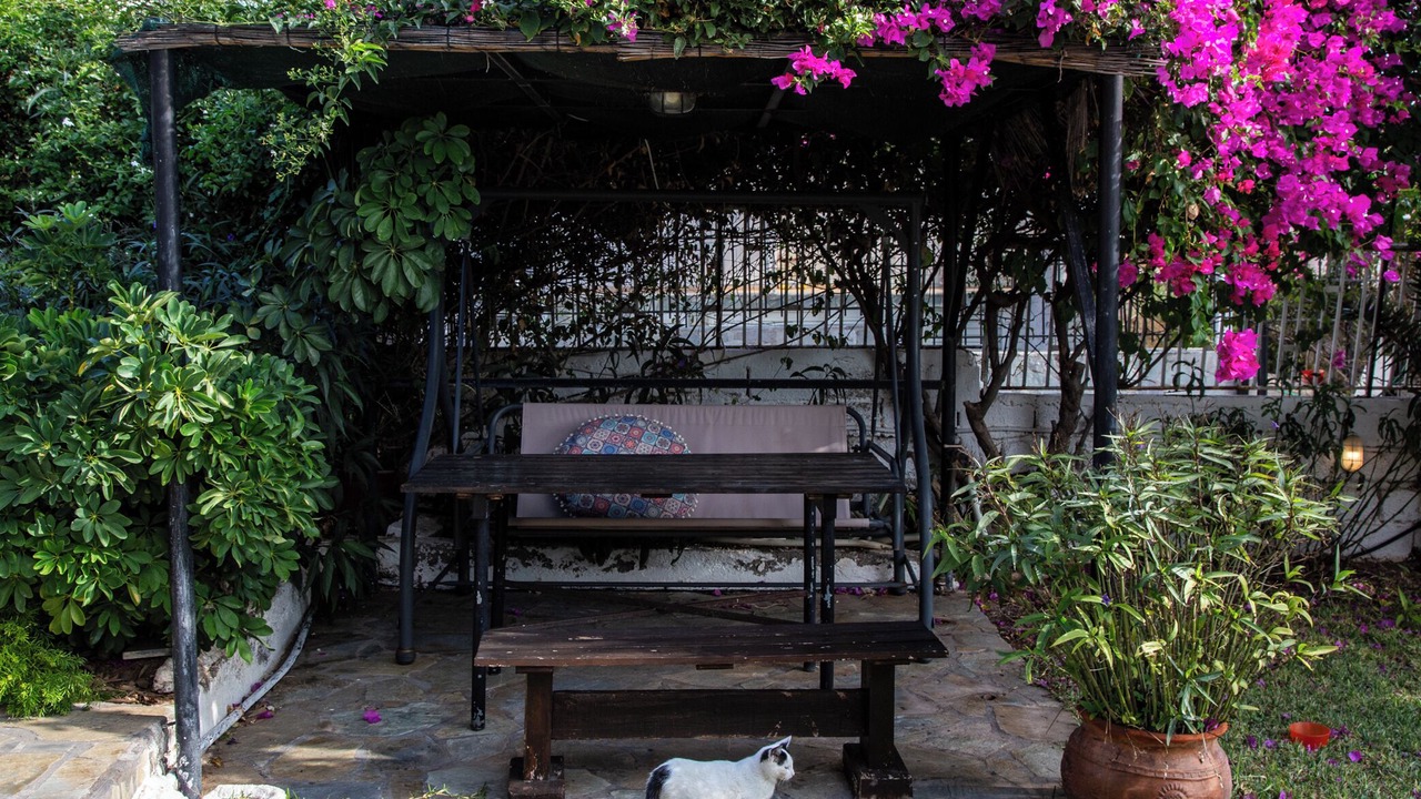 Photo of Patio Balcony in Kineta