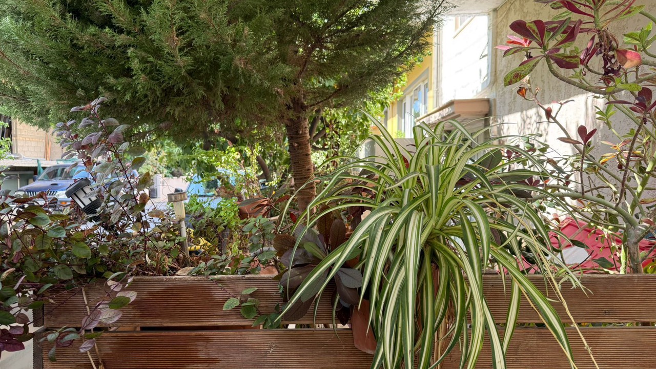 Photo of Outdoor in Nea Alikarnassos