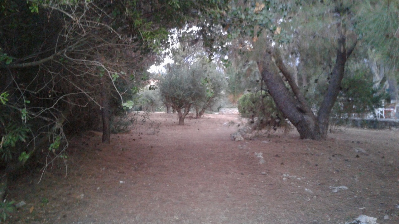 Photo of Others in Kiparissia