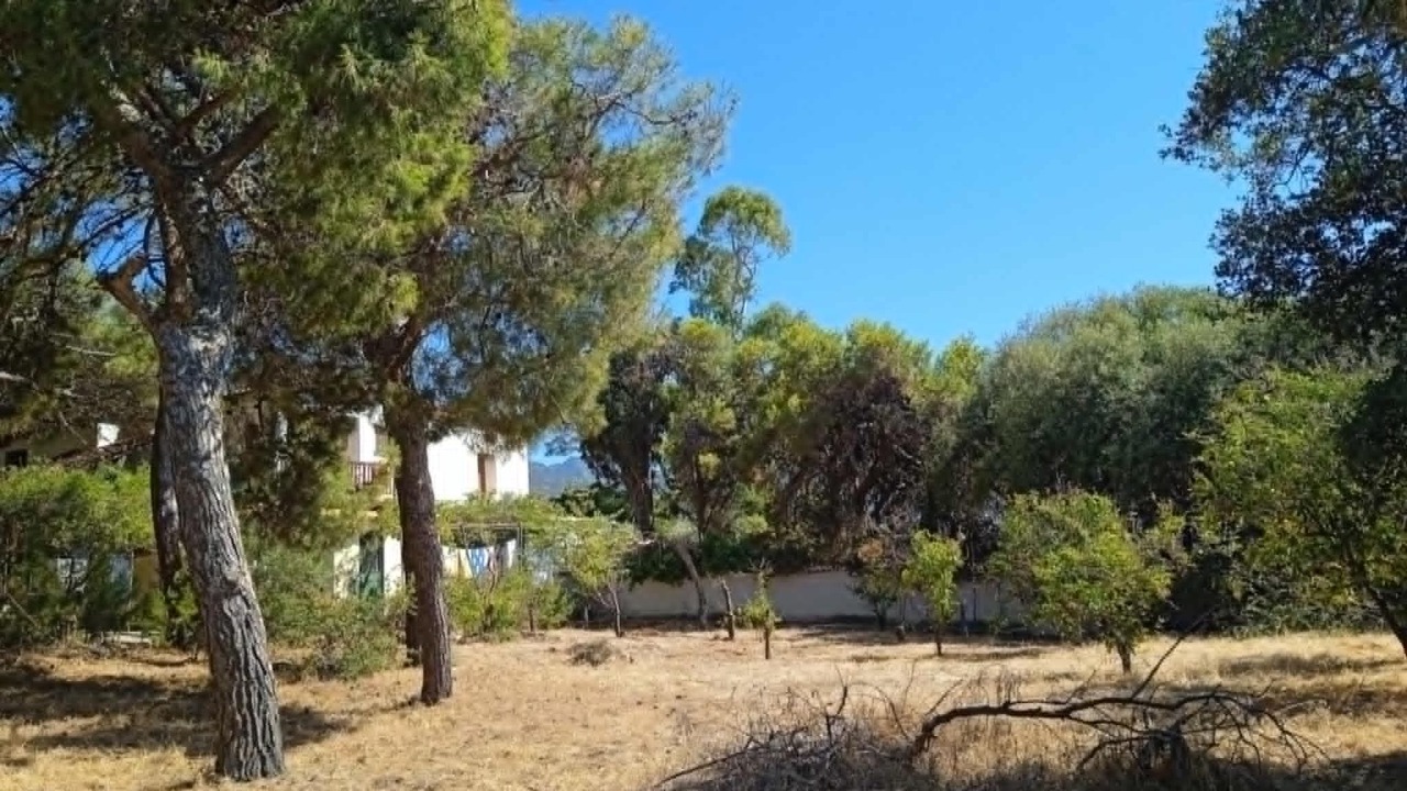 Photo of Outdoor in Kiparissia