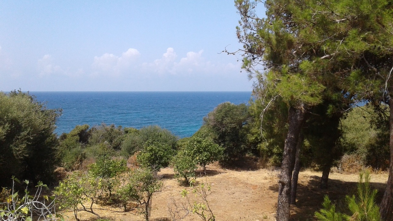 Photo of Others in Kiparissia