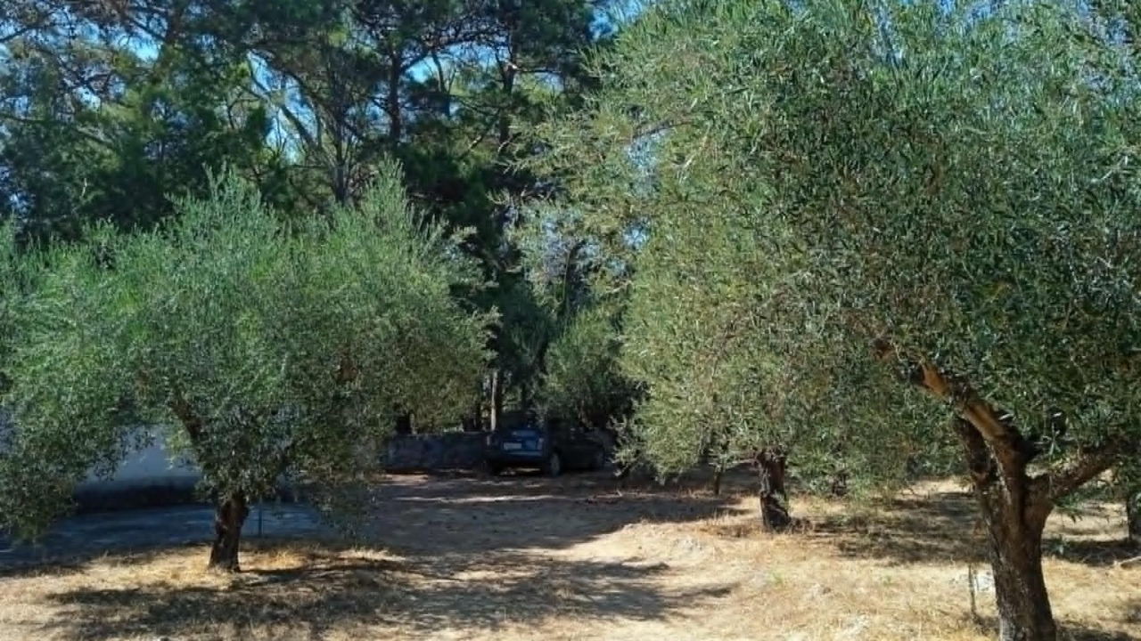 Photo of Outdoor in Kiparissia