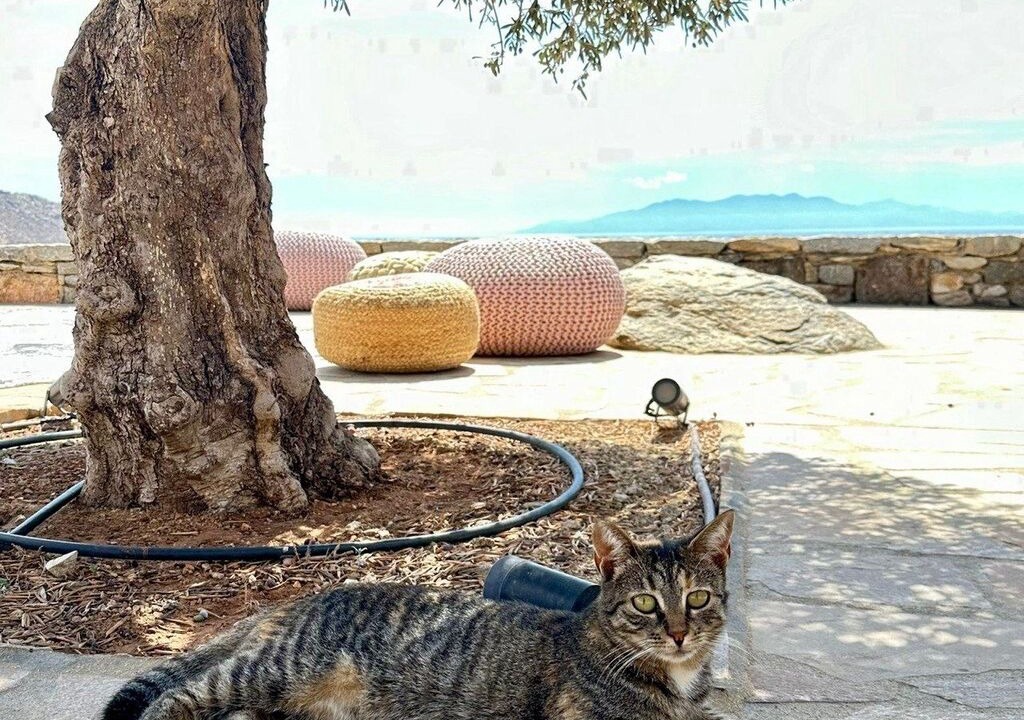 Photo of Outdoor in Paraga