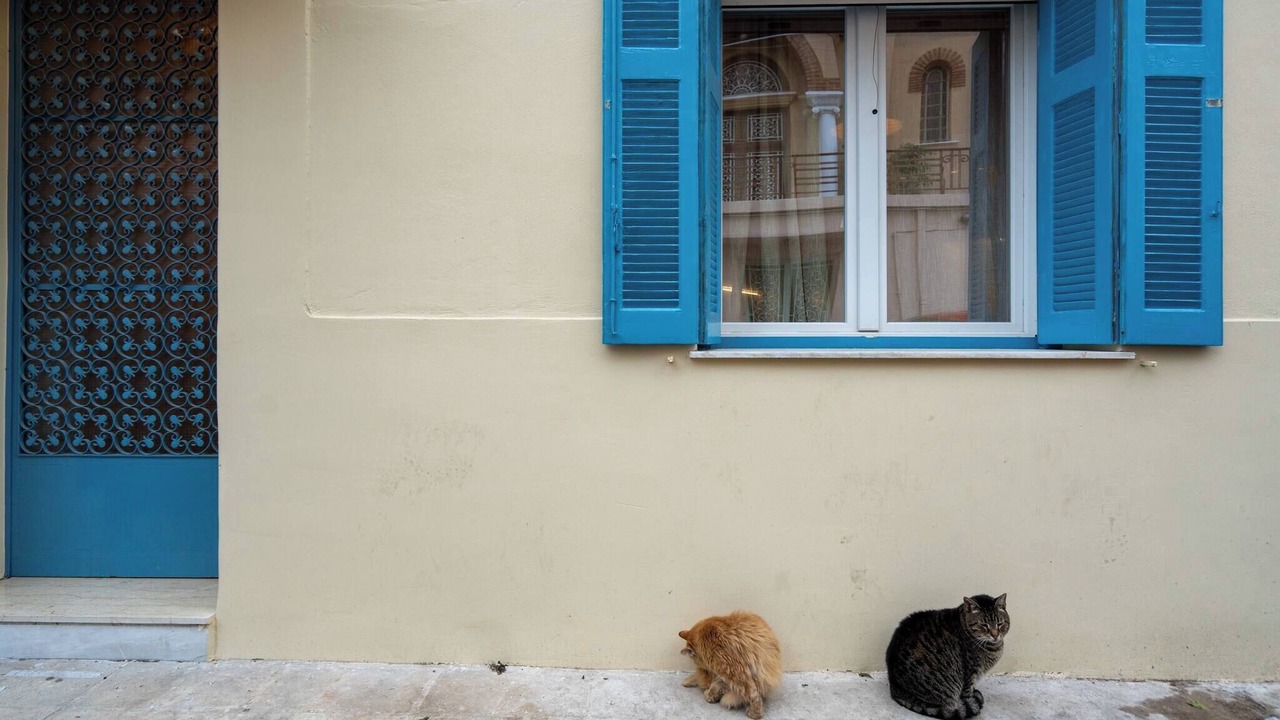 Photo of Outdoor in Filopappou