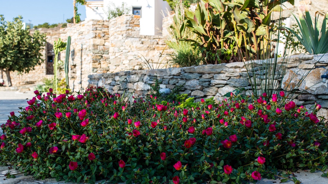 Photo of Outdoor in Syros