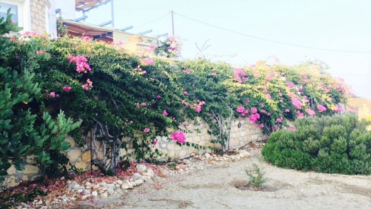 Photo of Outdoor in Afiartis