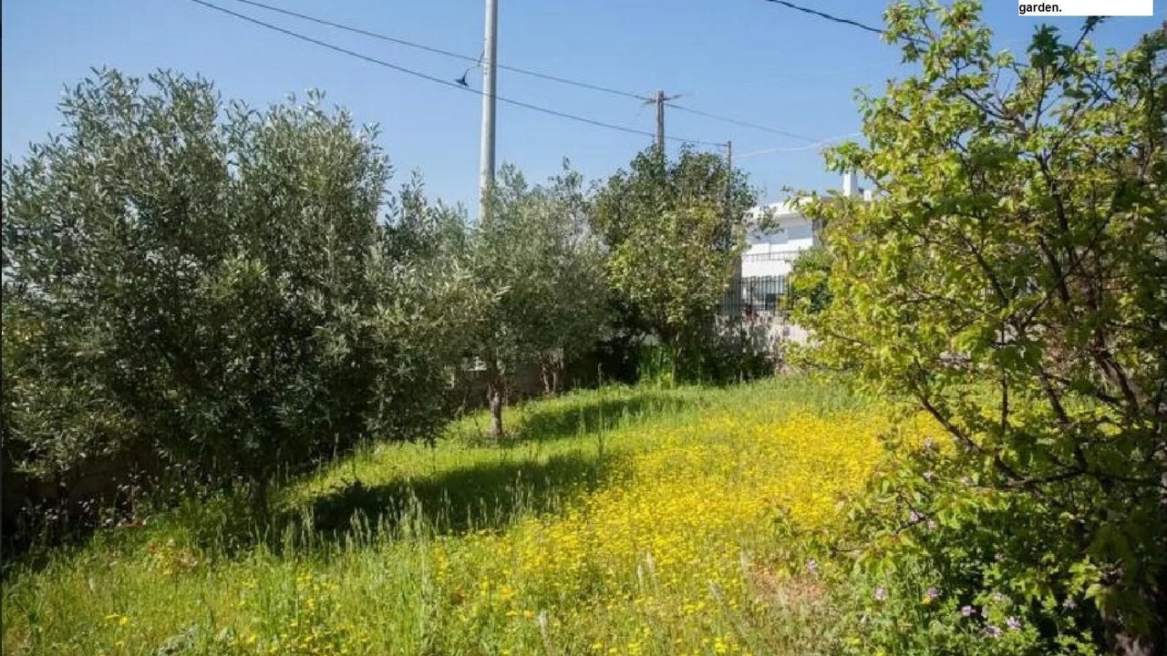 Photo of Outdoor in Anavyssos
