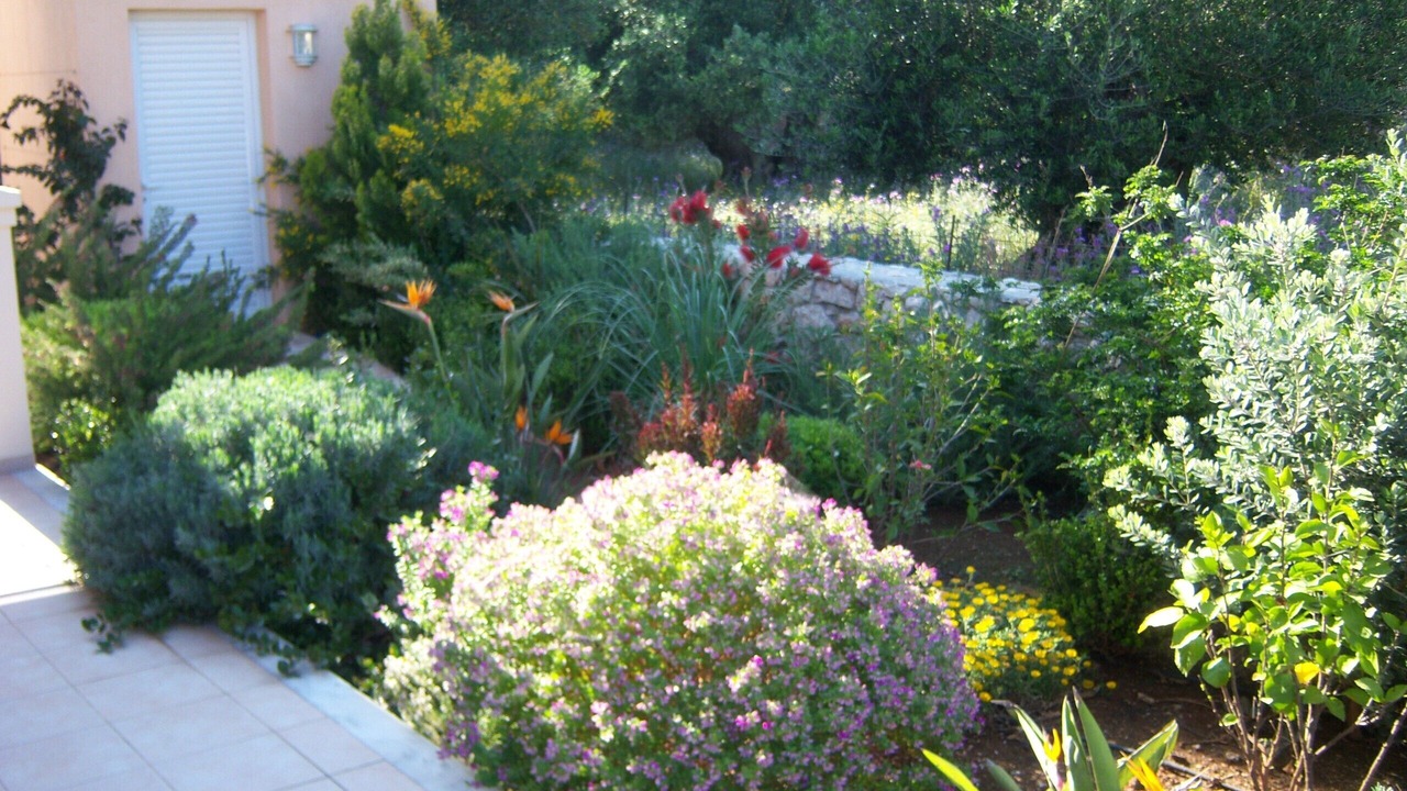 Photo of Outdoor in Pesada