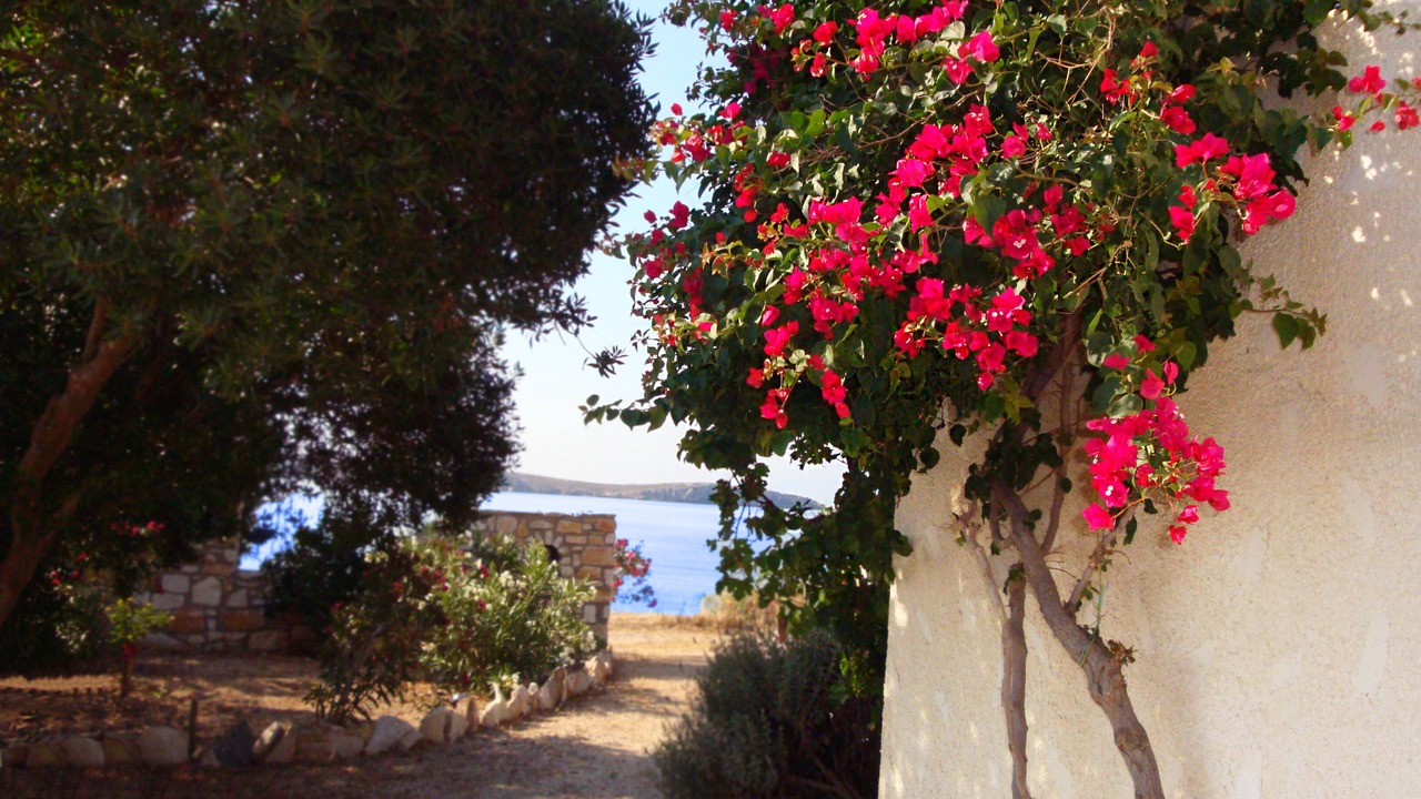 Photo of Outdoor in Drios