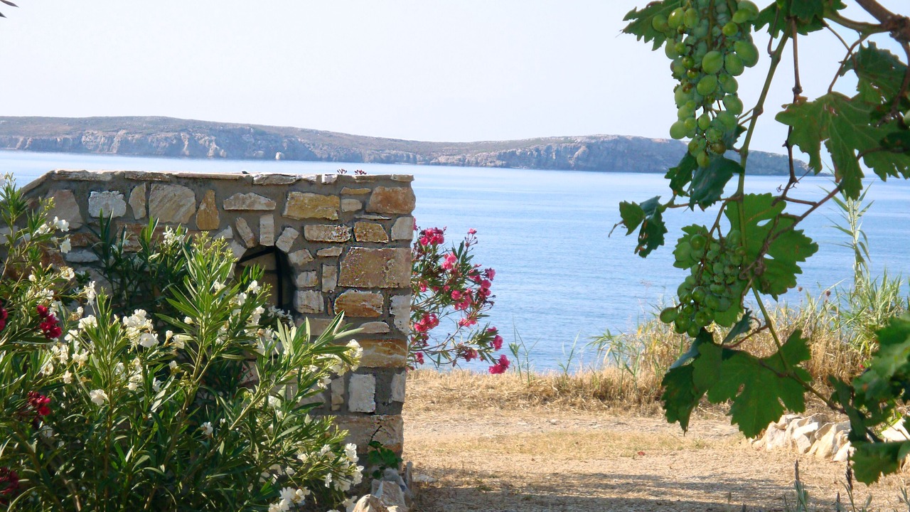 Photo of Outdoor in Drios