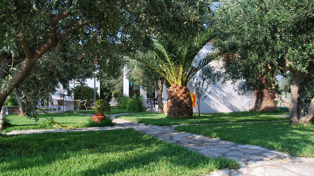 Photo of Outdoor in Paralio Astros