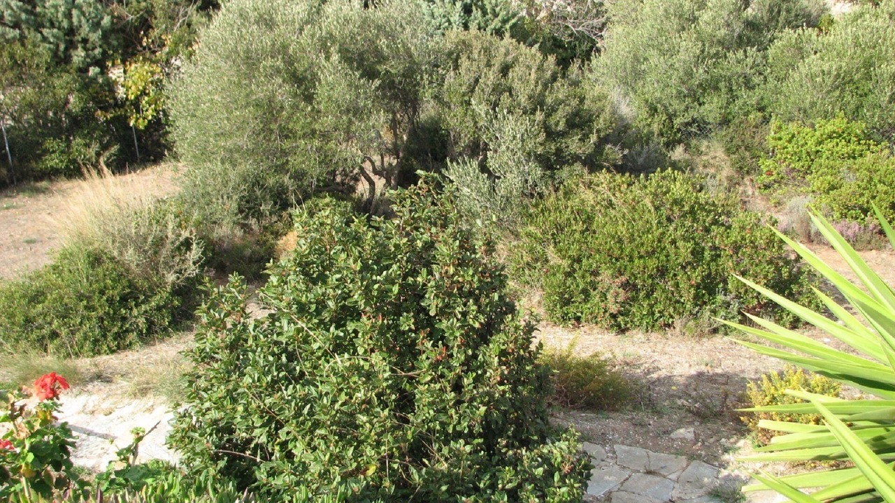 Photo of Outdoor in Karystos
