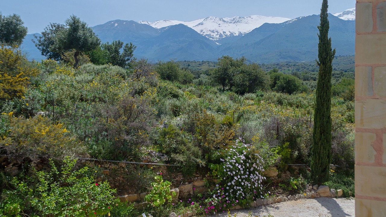Photo of Outdoor in Makhairoi