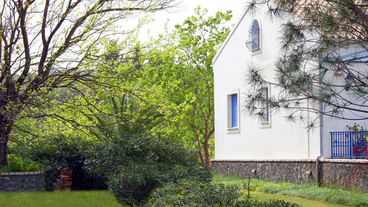 Photo of Outdoor in Melikia