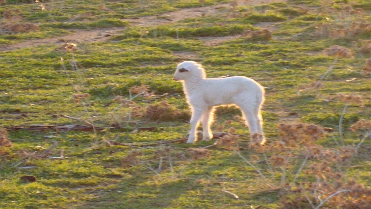 Photo of Outdoor in Agkidia
