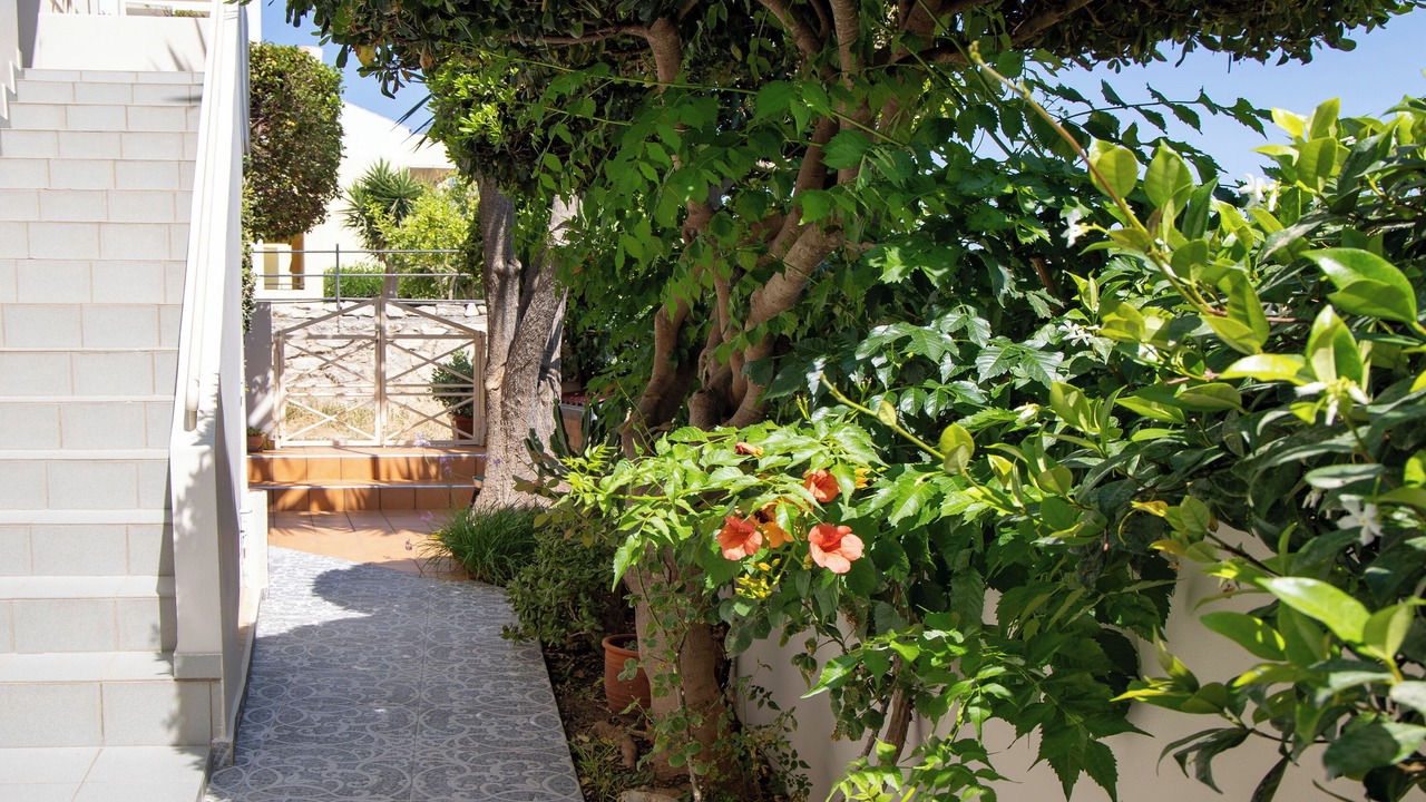 Photo of Outdoor in Almyrida