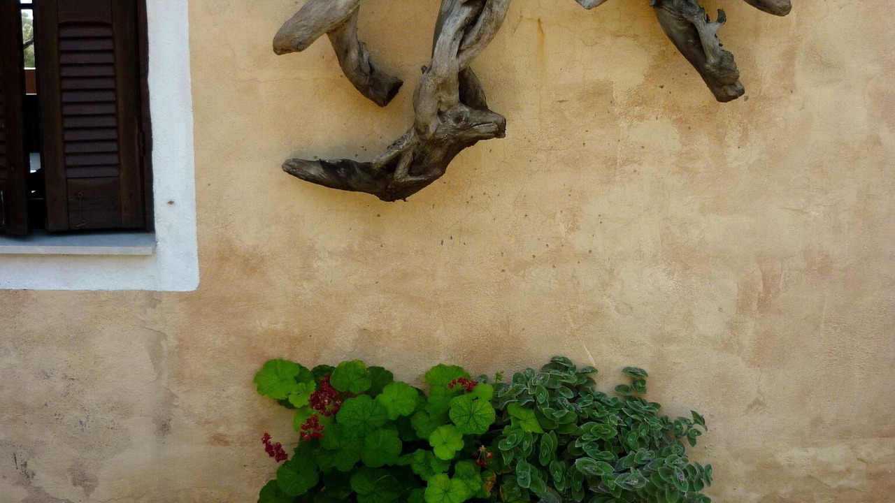 Photo of Outdoor in South Pelion