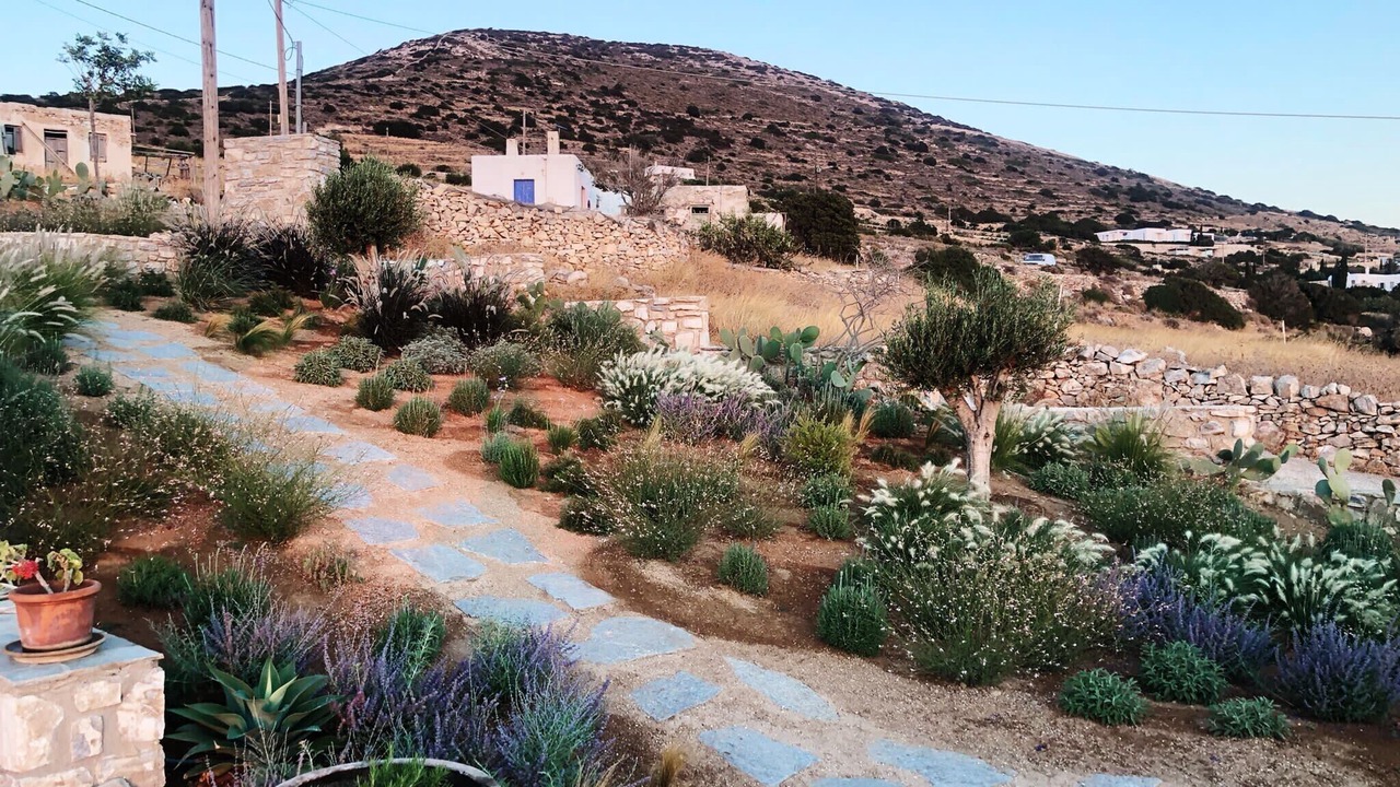 Photo of Outdoor in Paros