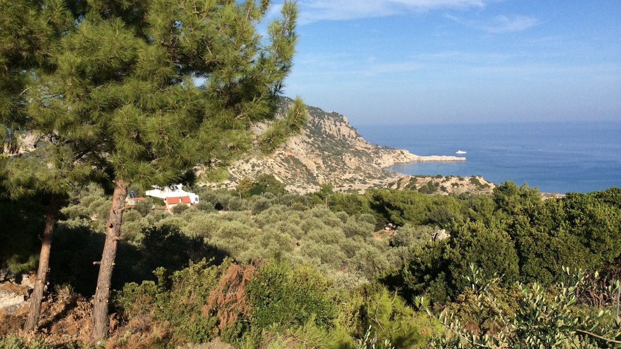 Photo of Outdoor in Archangelos