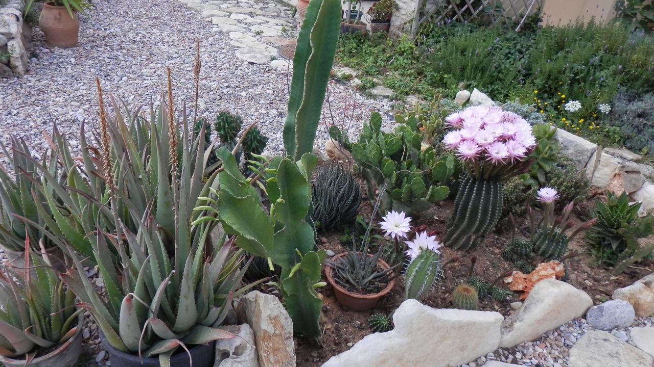 Photo of Outdoor in Skaleta