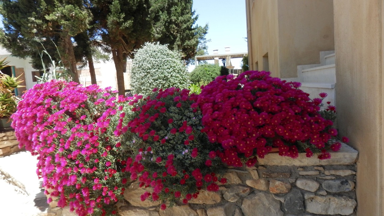 Photo of Outdoor in Skaleta