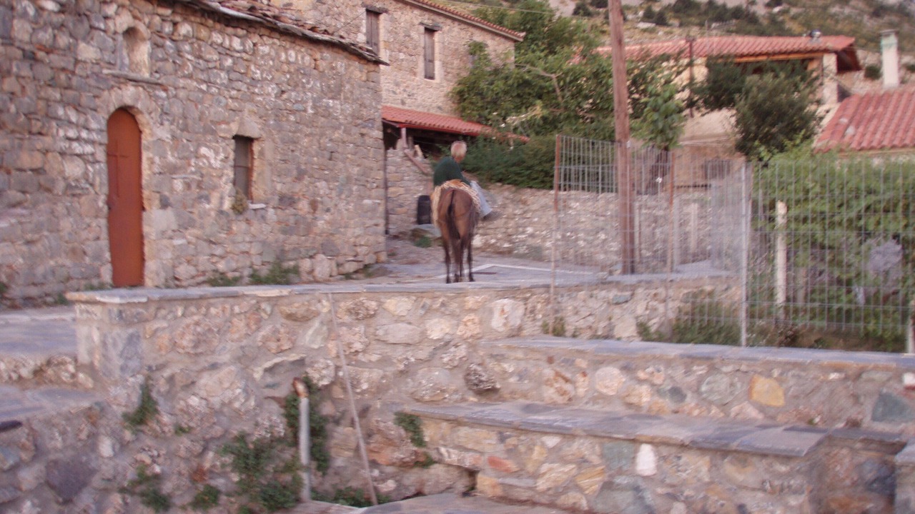 Photo of Outdoor in Diasella