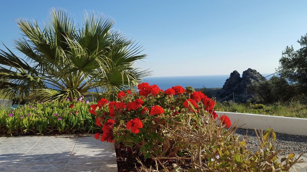 Photo of Outdoor in Vizari