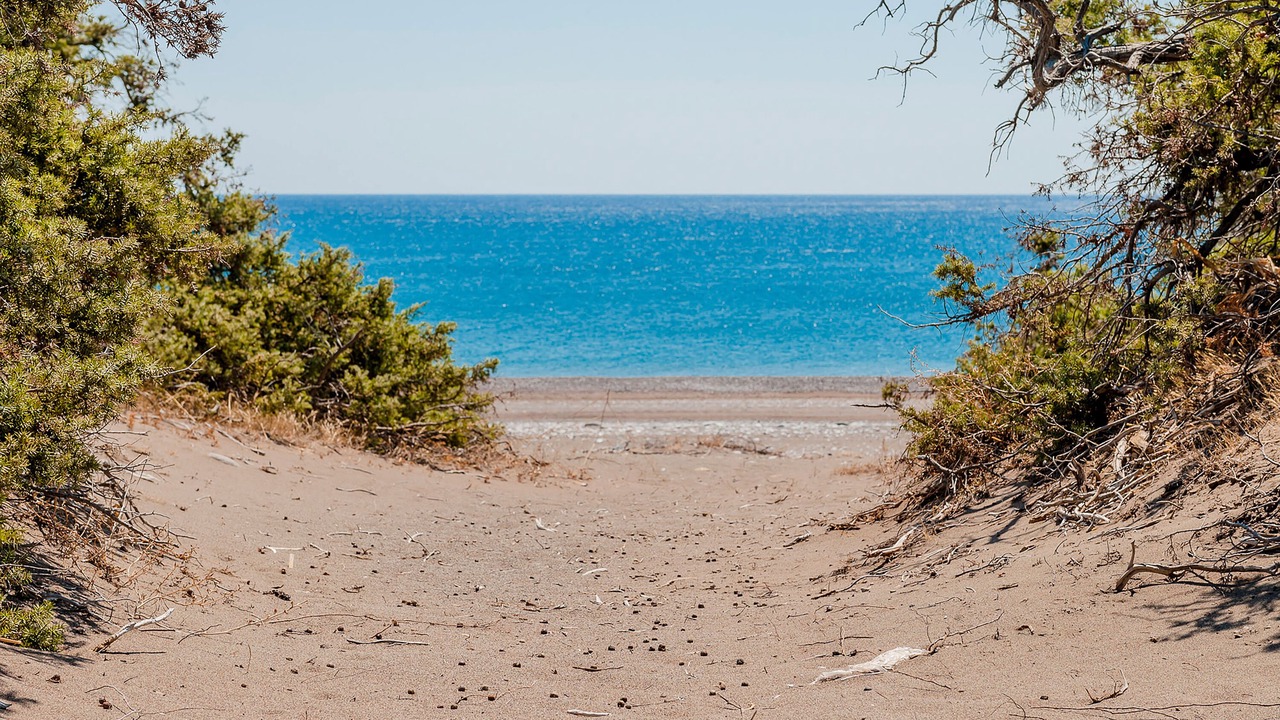 Photo of Outdoor in Gennadi