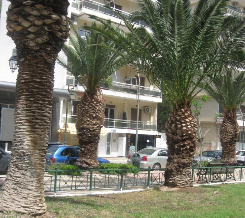 Photo of Buildings in Loutraki-Agioi Theodoroi