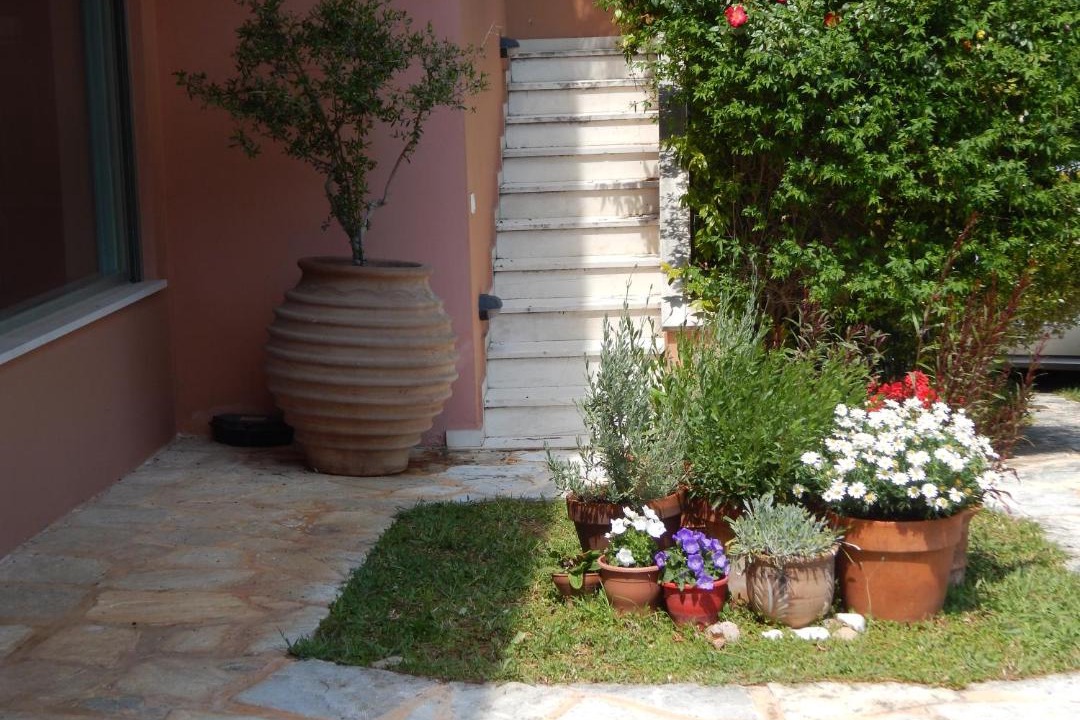 Photo of Others in Rafina
