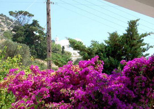 Photo of Others in Milopotas