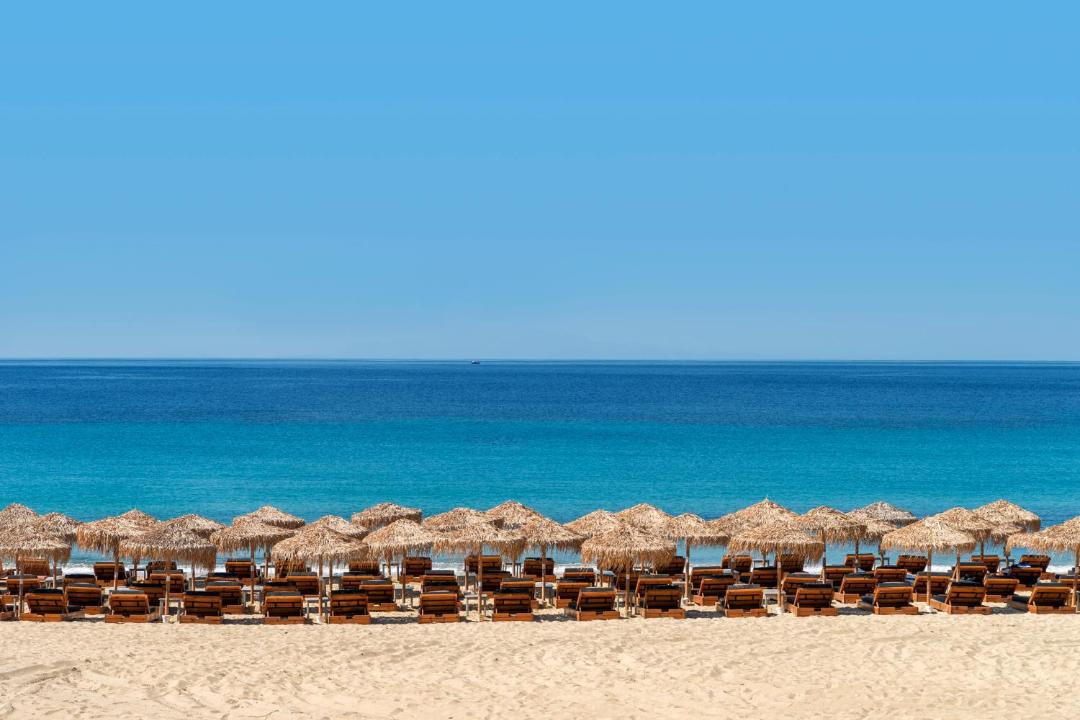 Photo of Others in Elia