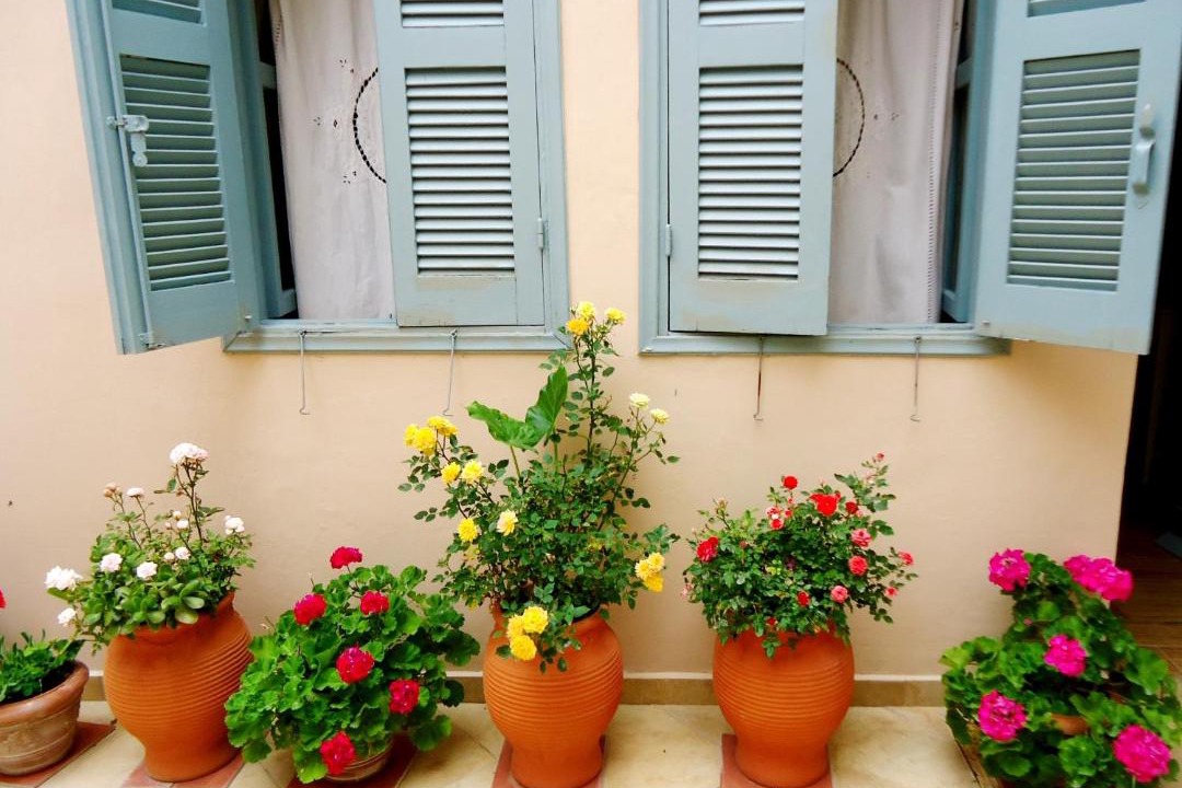 Photo of Buildings in Rhodes